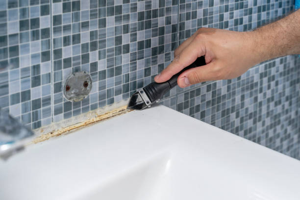 Best White Mold Remediation in Tawas City, MI